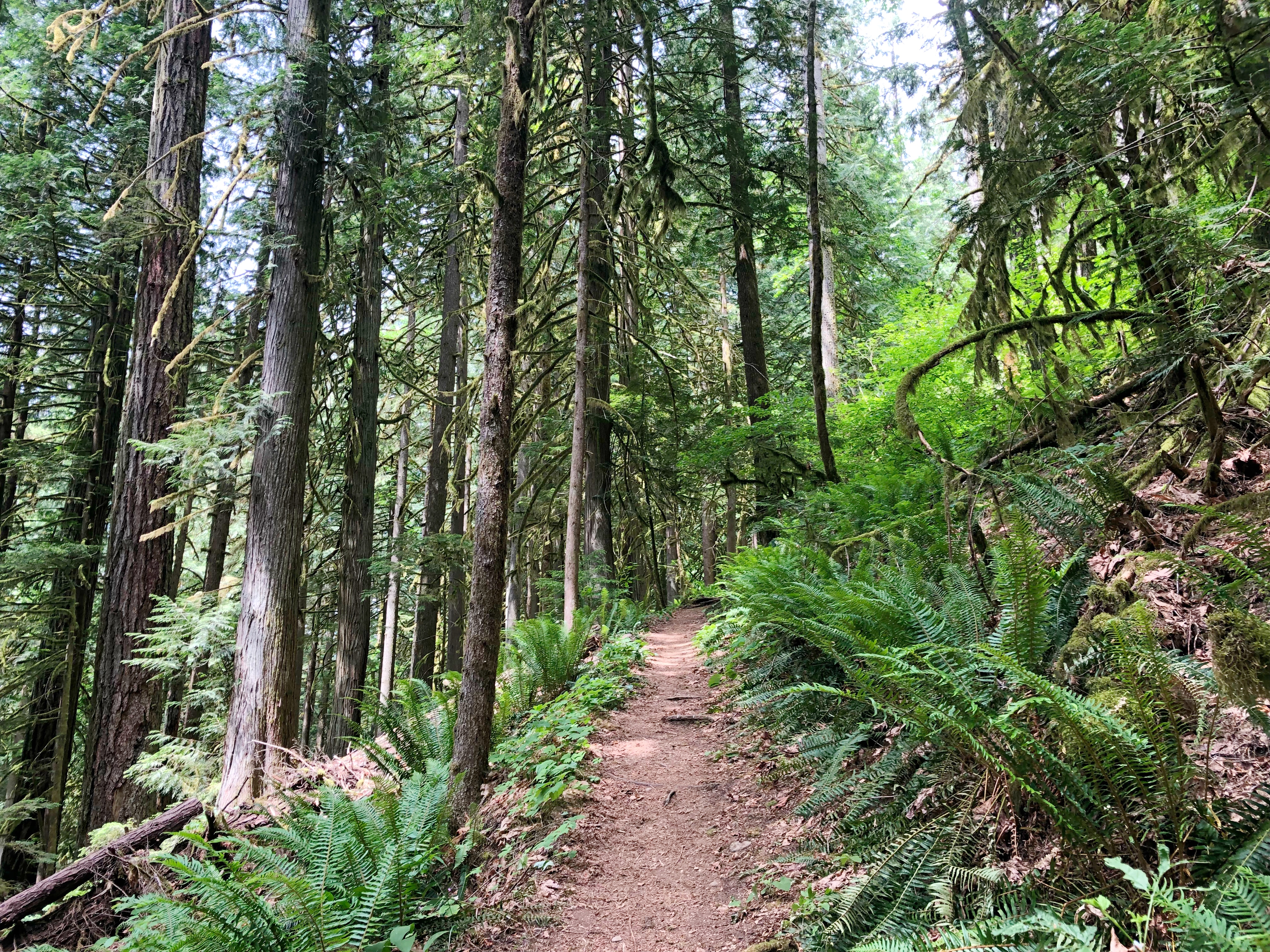 othello tunnels Hike, hope BC - family friendly hikes in BC - family friendly hikes in hope - Family friendly hikes in Vancouver - hiking adventures - kid friendly hikes in vancouver - easy summer hikes - easy hikes in vancouver