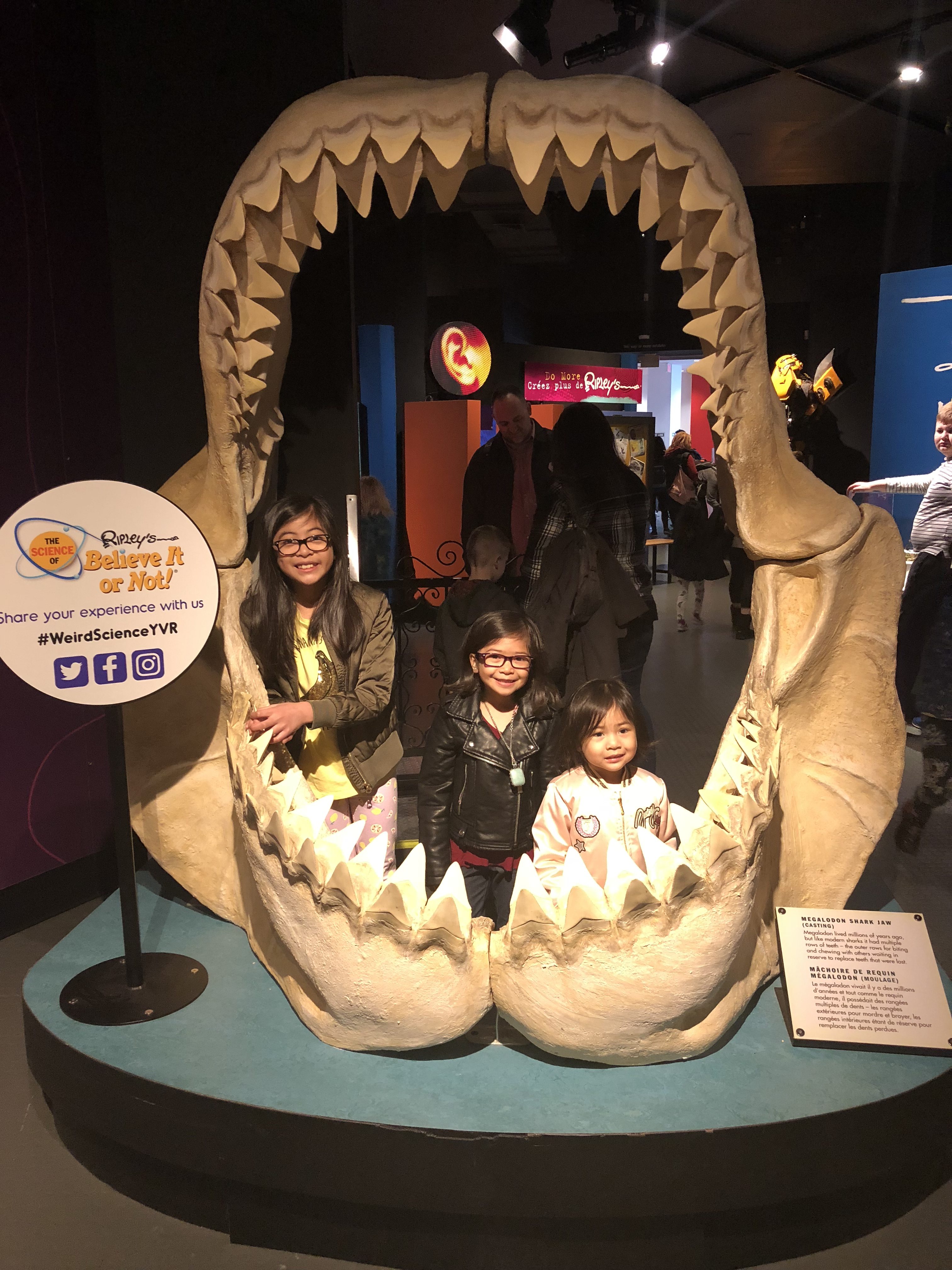 12 ACTIVITES TO DO IN AND AROUND VANCOUVER TO KEEP THE KIDS FROM USING THE B WORD... BORED - 12 THINGS TO DO IN VANCOUVER - MUST SEE THINGS IN VANCOUVER - THINGS TO DO IN VANCOUVER - THE VANCOUVER BUCKET LIST - THINGS TO DO IN VACNOUVER WITH KIDS - THE BEST PLACES TO VISIT IN VANCOUVER WITH KIDS - THE BEST PLACES TO VISIT IN VANCOUVER
