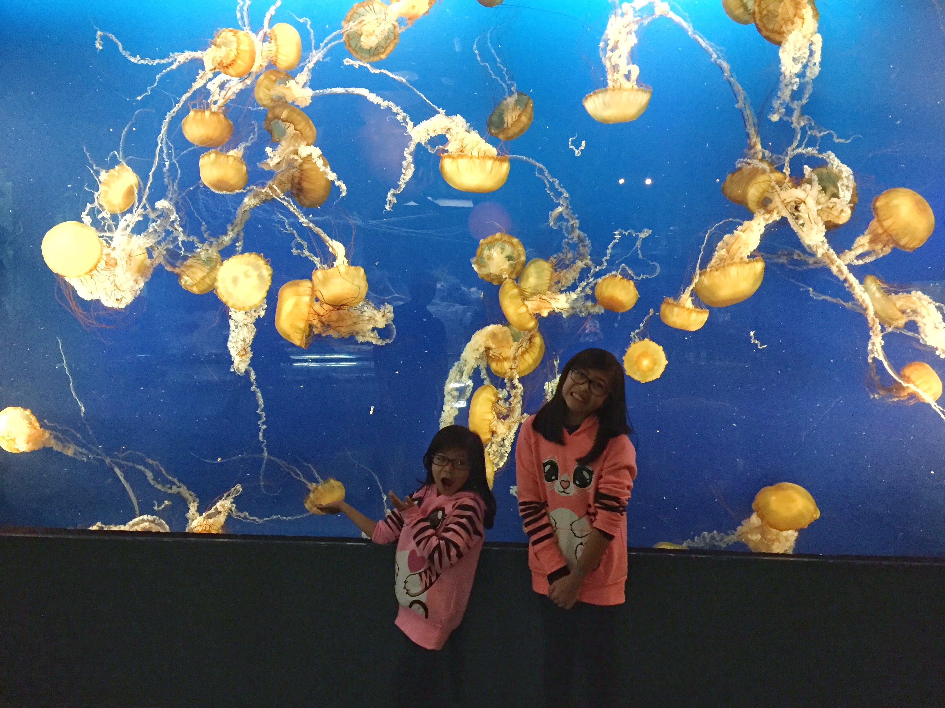 12 ACTIVITES TO DO IN AND AROUND VANCOUVER TO KEEP THE KIDS FROM USING THE B WORD... BORED - 12 THINGS TO DO IN VANCOUVER - MUST SEE THINGS IN VANCOUVER - THINGS TO DO IN VANCOUVER - THE VANCOUVER BUCKET LIST - THINGS TO DO IN VACNOUVER WITH KIDS - THE BEST PLACES TO VISIT IN VANCOUVER WITH KIDS - THE BEST PLACES TO VISIT IN VANCOUVER