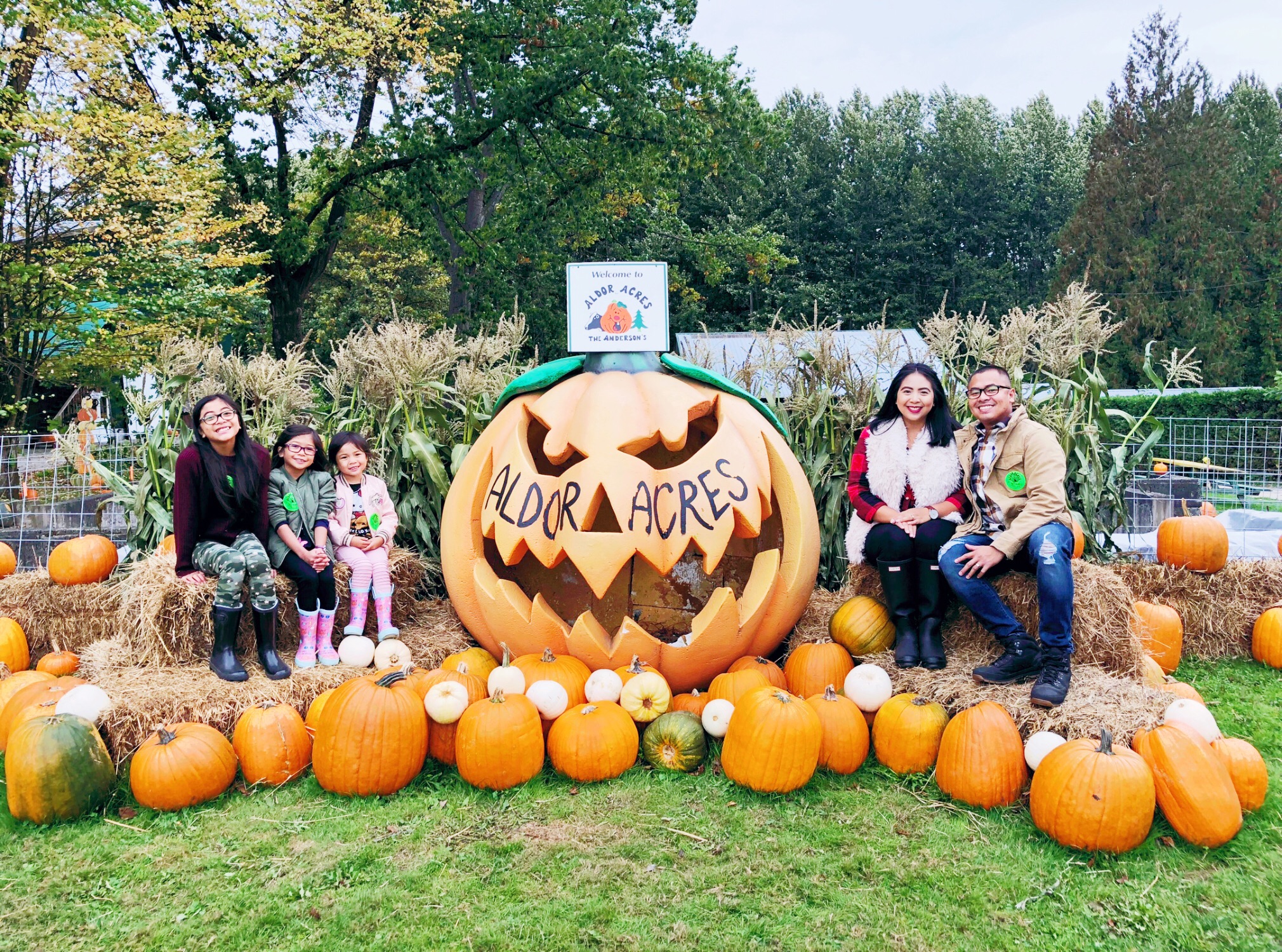 5 Best Pumpkin Patches in the Fraser Valley | 5 Best Pumpkin Patches in Vancouver | The Best Pumpkin Patches in Vancouver | The Best Pumpkin Patches | The Best Pumpkin Patches in Surrey | Fall Activities | Family Friendly Fall Activities | Fall Bucket List | Pumpkin Patch | What to do at a Pumpkin Patch | Family Blog | Motherhood Blog | bethalylovebeauty.com