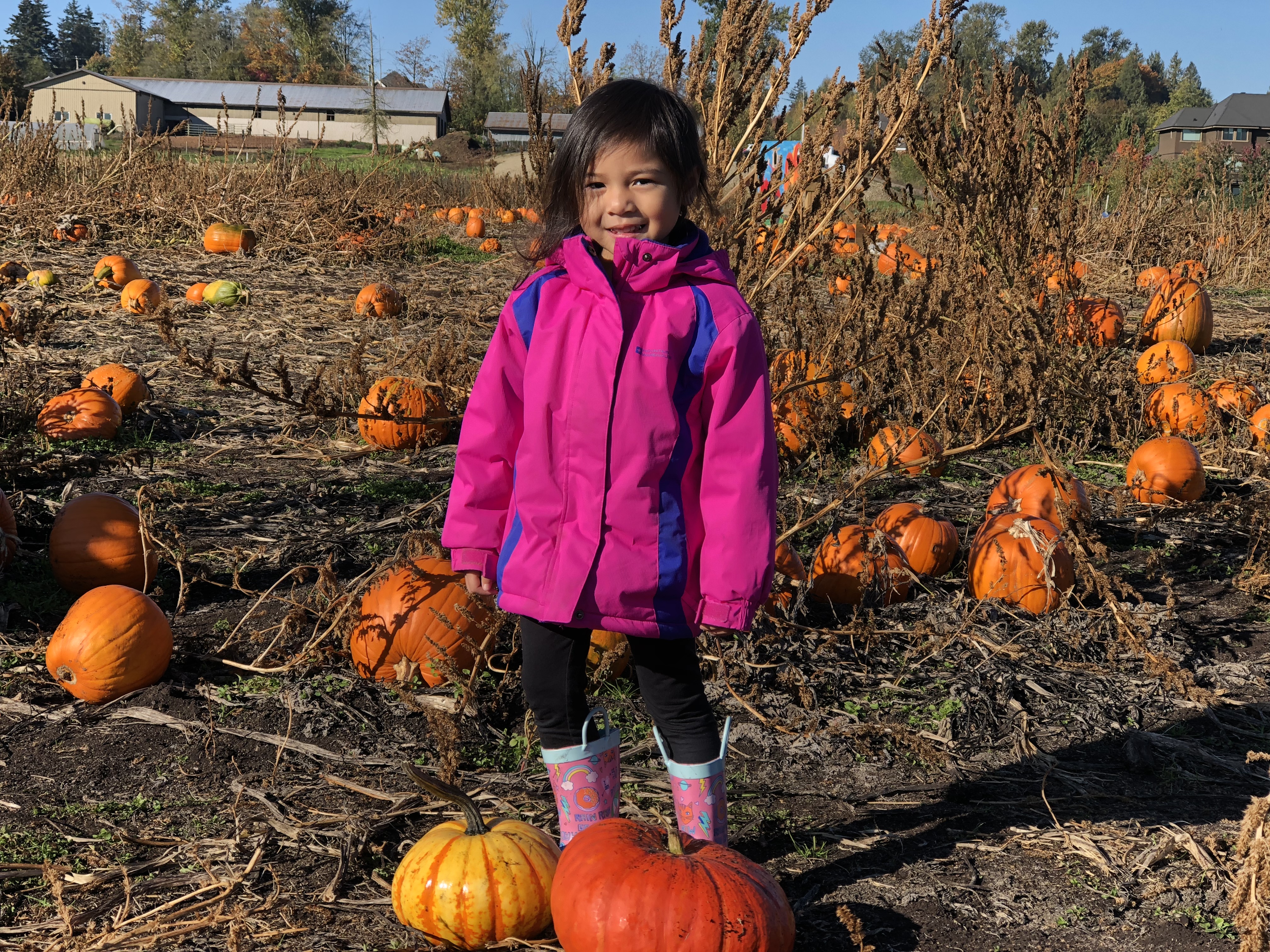 5 Best Pumpkin Patches in the Fraser Valley | 5 Best Pumpkin Patches in Vancouver | The Best Pumpkin Patches in Vancouver | The Best Pumpkin Patches | The Best Pumpkin Patches in Surrey | Fall Activities | Family Friendly Fall Activities | Fall Bucket List | Pumpkin Patch | What to do at a Pumpkin Patch | Family Blog | Motherhood Blog | bethalylovebeauty.com