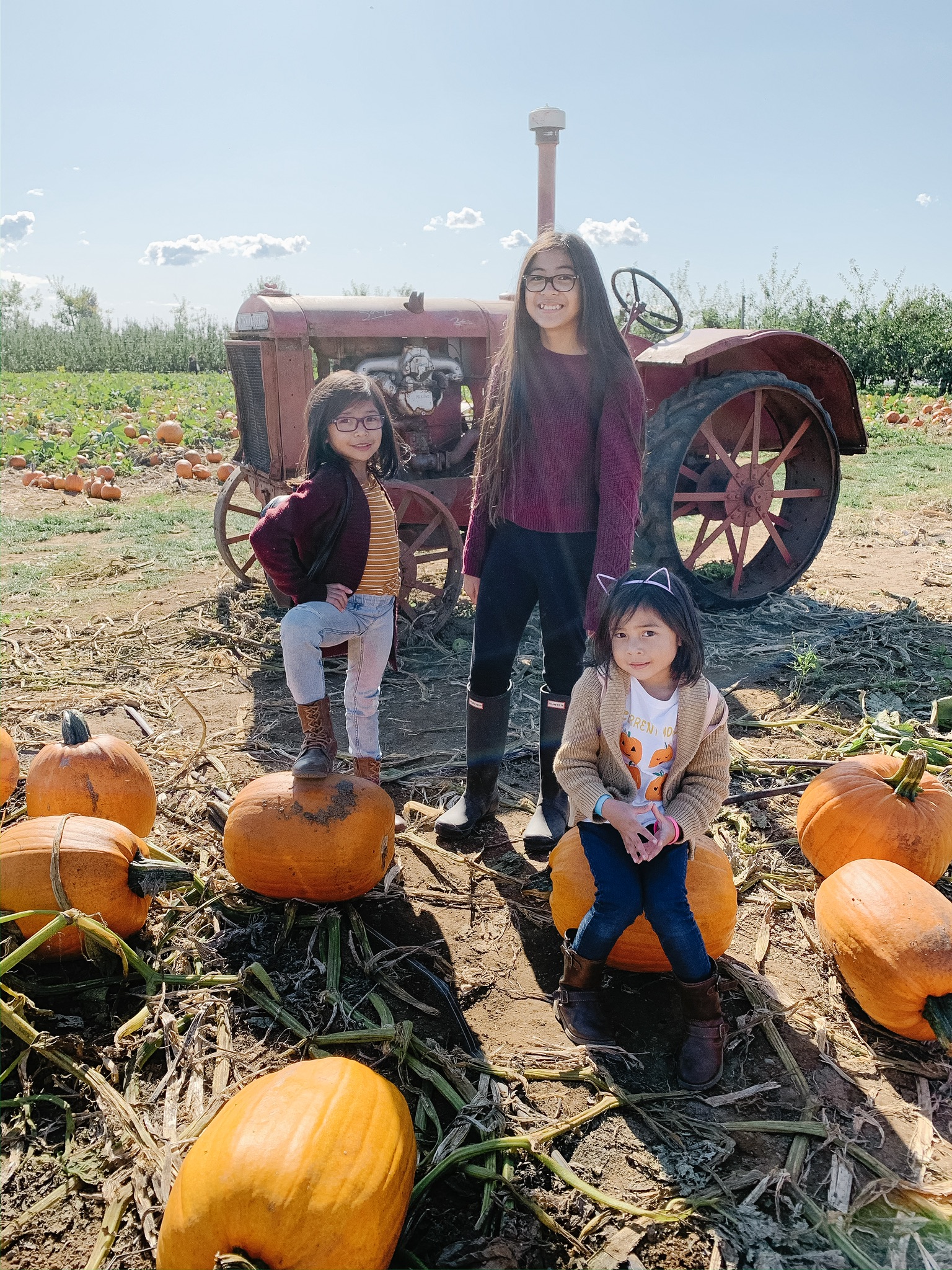 
5 Best Pumpkin Patches in the Fraser Valley | 5 Best Pumpkin Patches in Vancouver | The Best Pumpkin Patches in Vancouver | The Best Pumpkin Patches | The Best Pumpkin Patches in Surrey | Fall Activities | Family Friendly Fall Activities | Fall Bucket List | Pumpkin Patch | What to do at a Pumpkin Patch | Family Blog | Motherhood Blog | bethalylovebeauty.com
